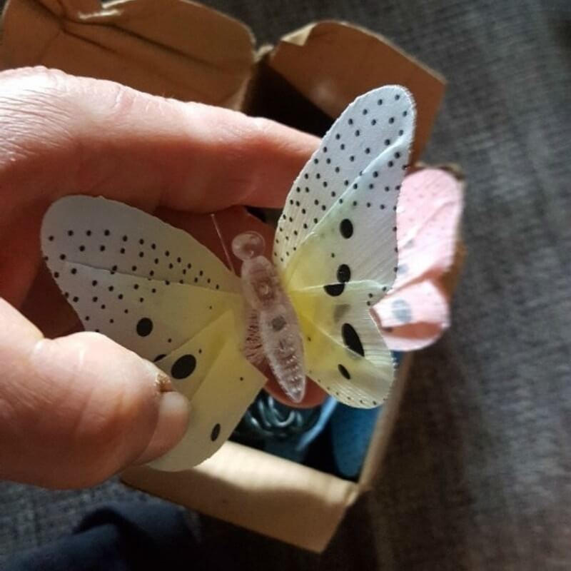 Fjäril LED-lyktor Fyndonline